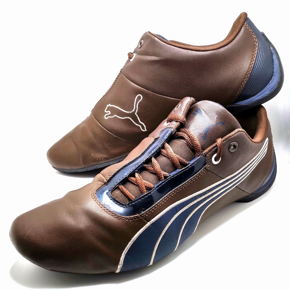 Puma brown peacock